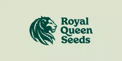 Royal Queen Seeds