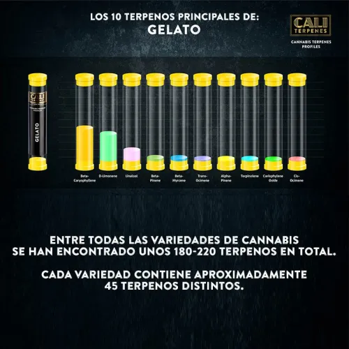 Cali Terpenes Gelato 1ml