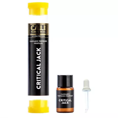 Cali Terpenes – Critical Jack 1 ml