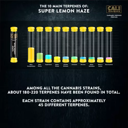 SUPER LEMON HAZE TERPENES 1ml