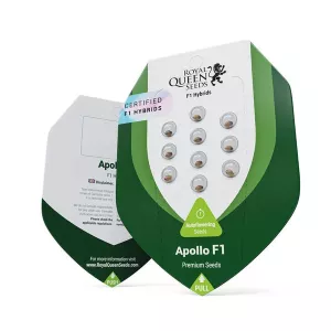 Apollo F1 Royal Queen Seeds 5 St...